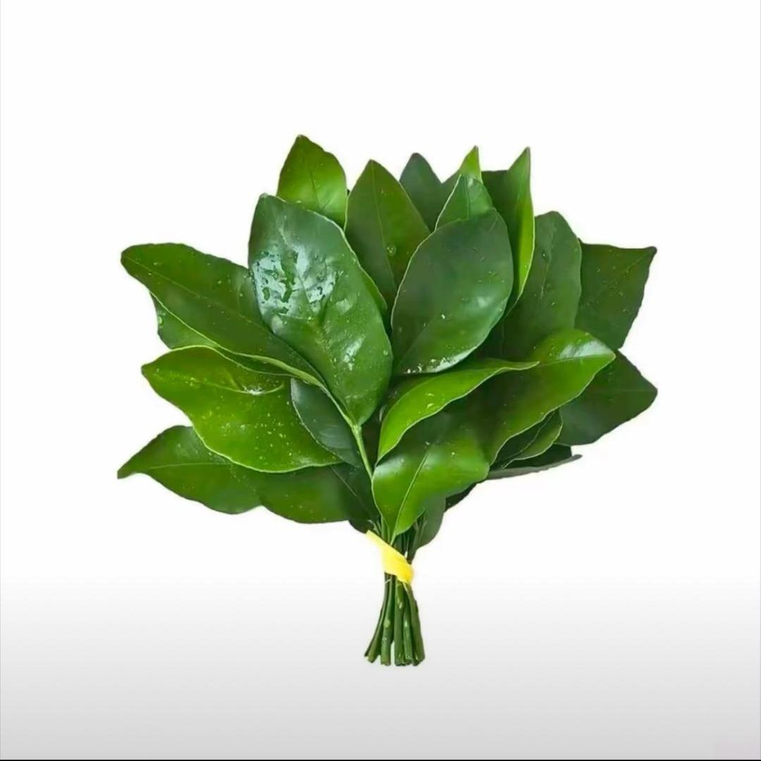 小刘维修中心@