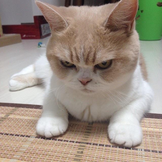 'J