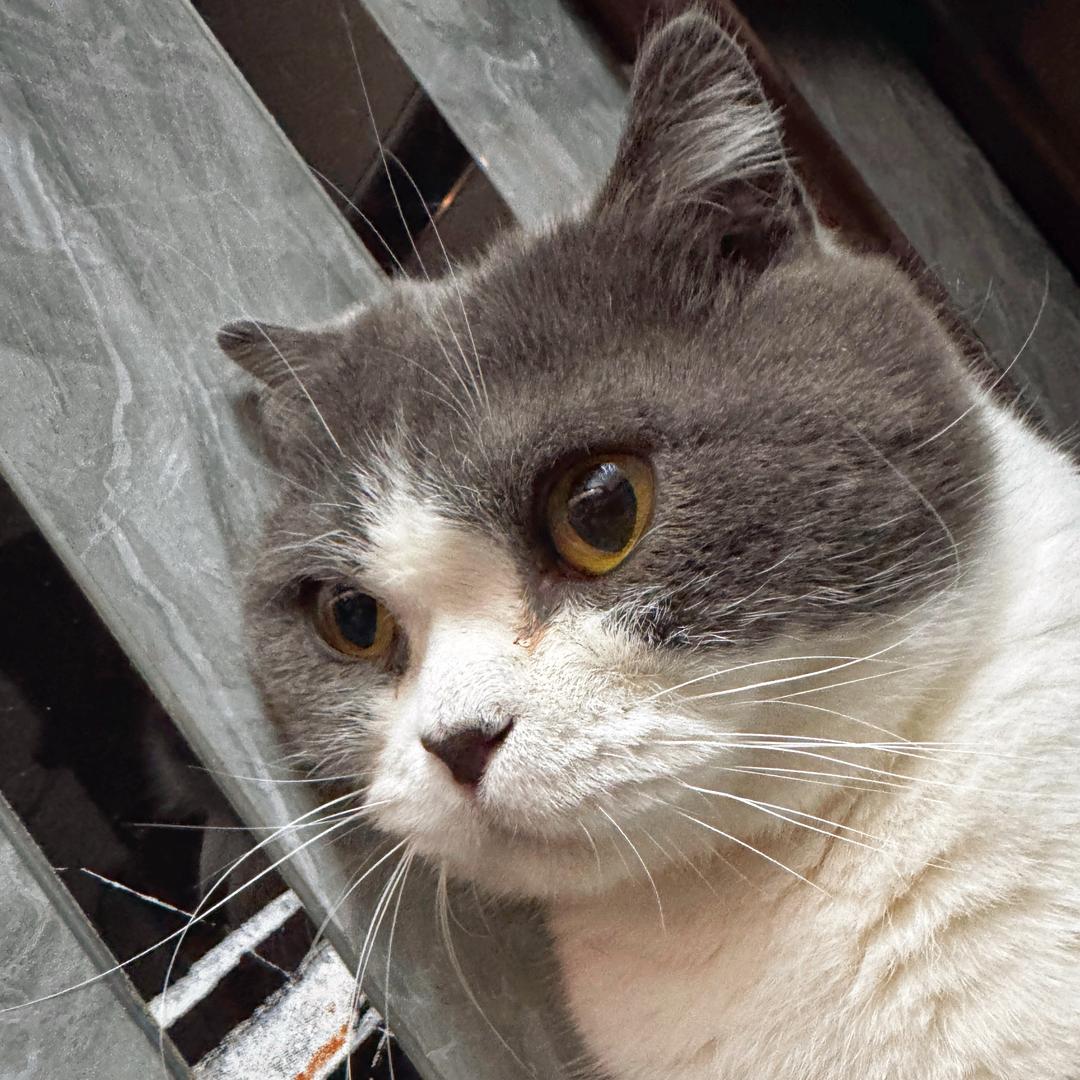 魏富贵贵贵贵贵～