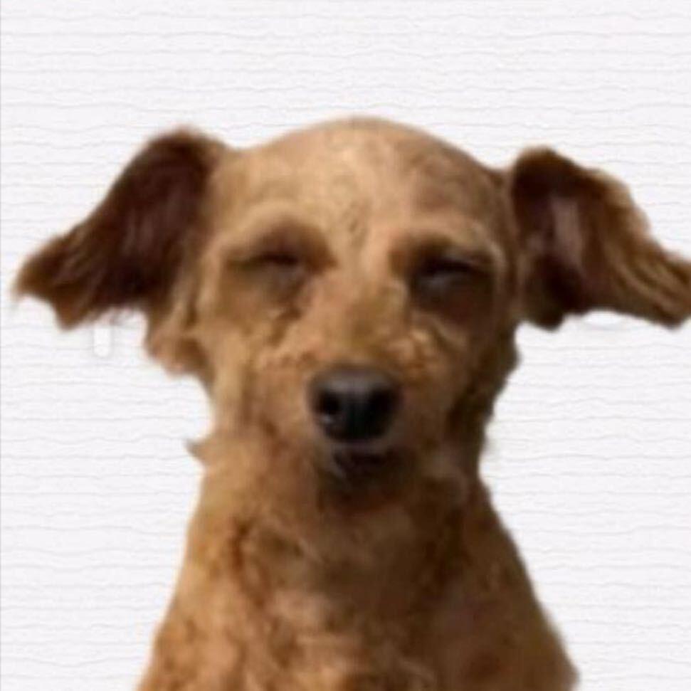 摸摸哥