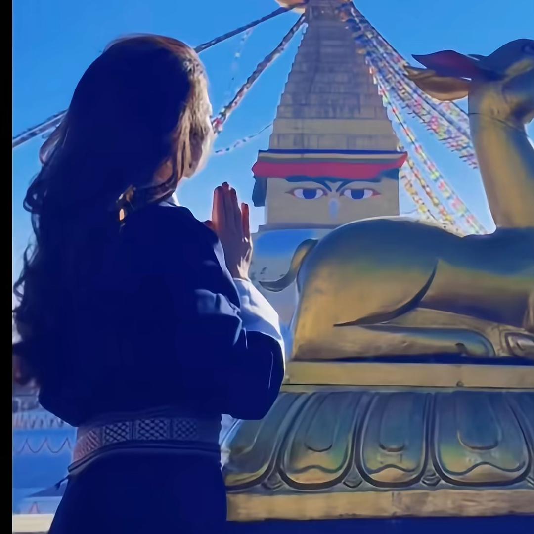 阿珍：山南乃东特产