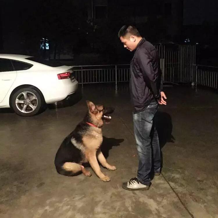 徐兆新