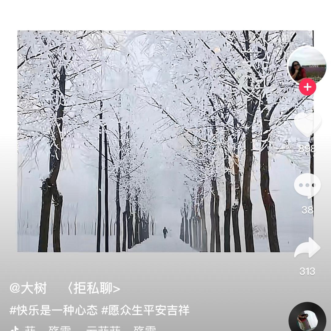 冬去春来百花香