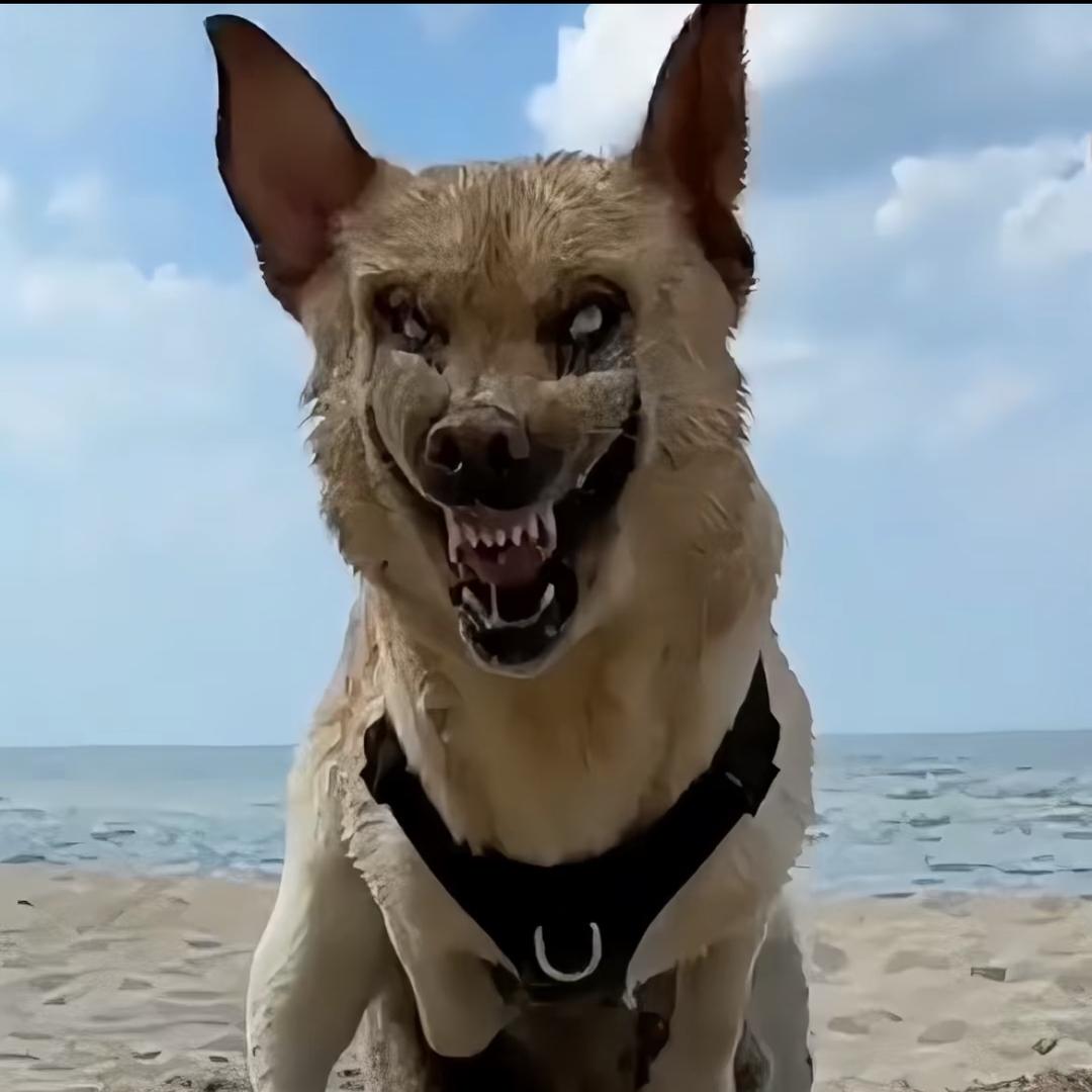 YES.