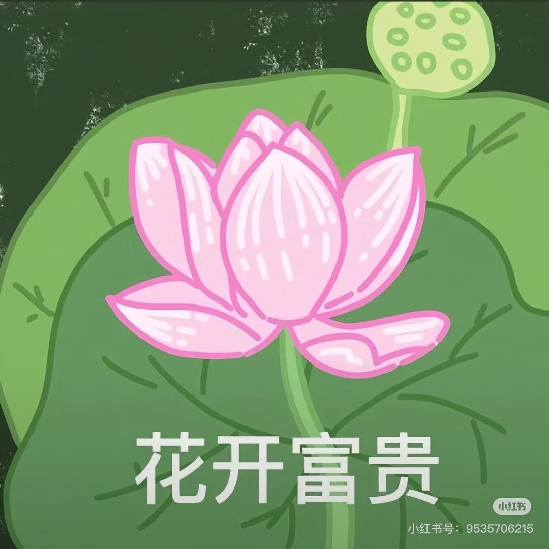 🌈皮蛋solo周-