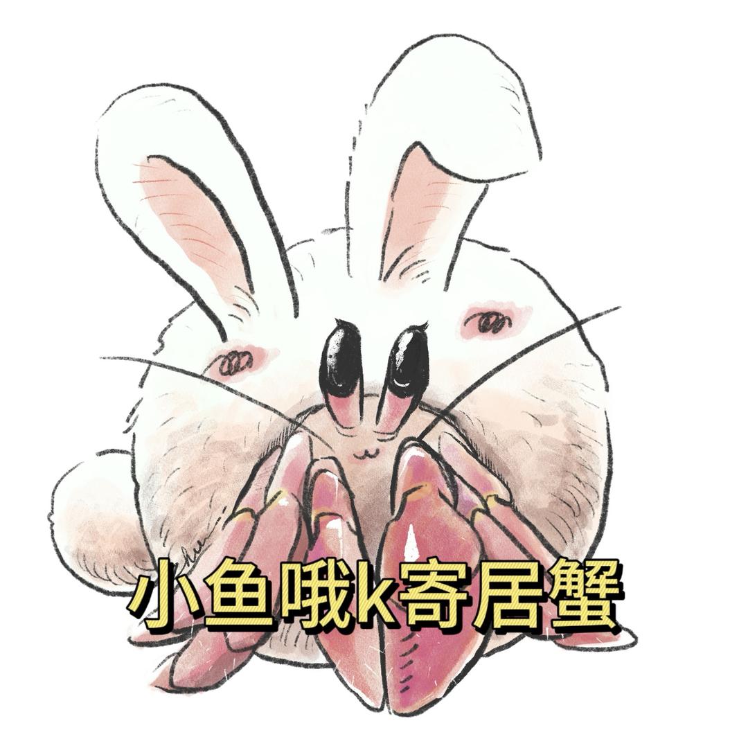 小鱼哦k（寄居蟹）