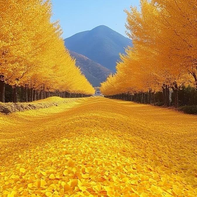 信业东城店百货