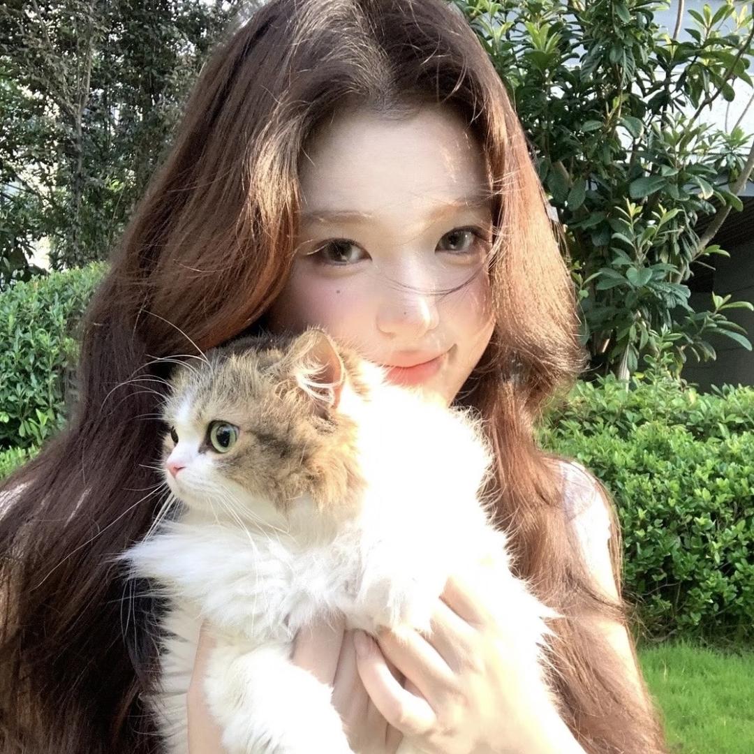 猫咪不在家🐱