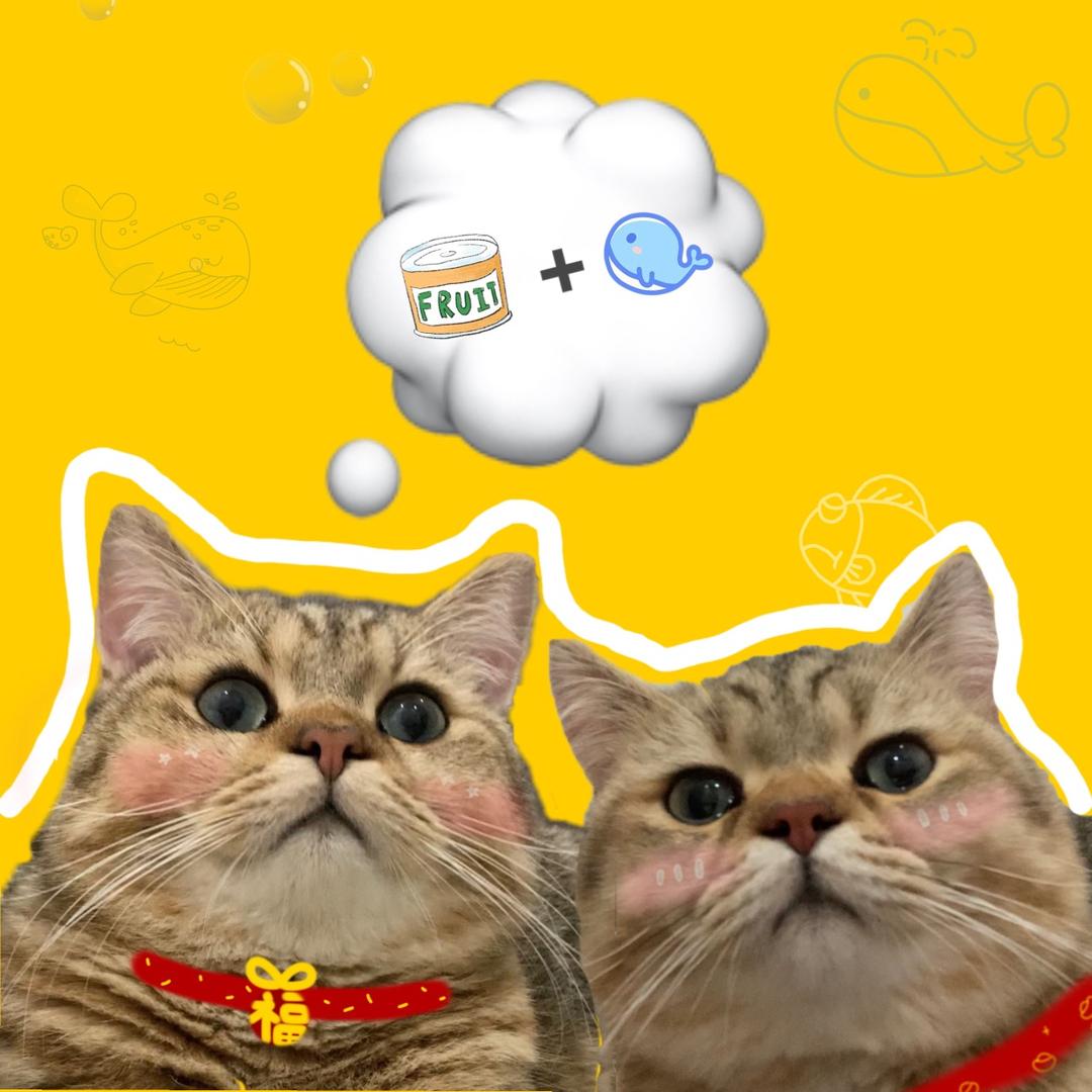 是小G呀🐽