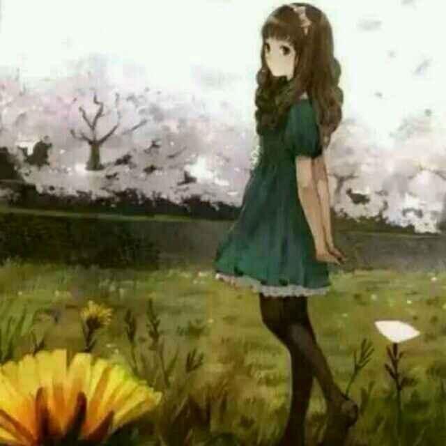 雨声旋律🎶