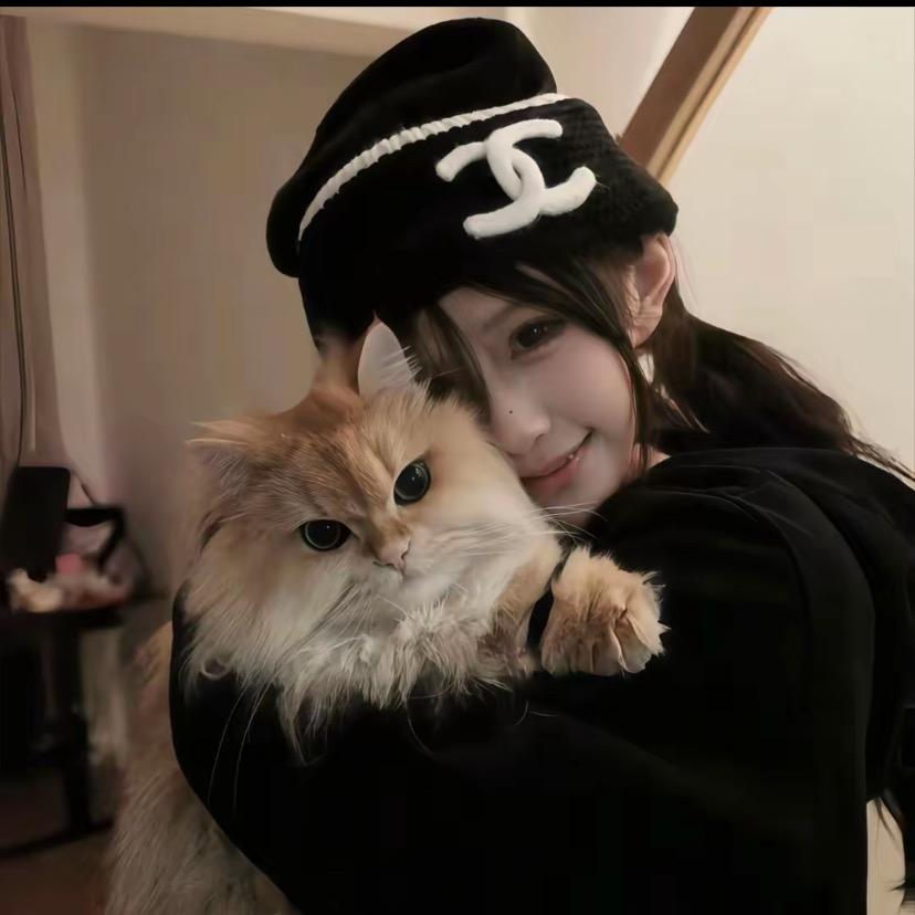 ㅤㅤㅤㅤㅤㅤㅤㅤㅤㅤㅤㅤ ㅤㅤ