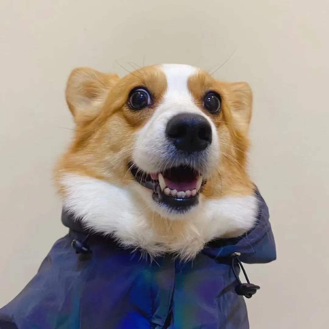 偏爱🤪🤪