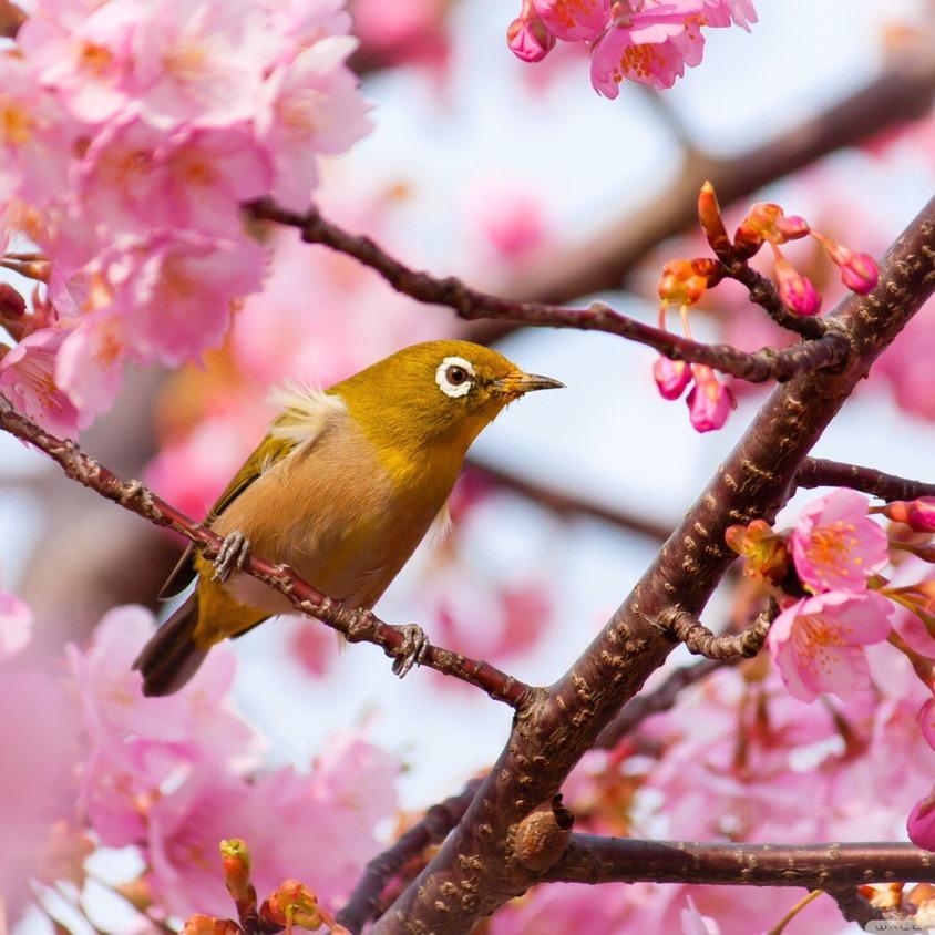 林生（生活用品推荐）