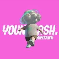 杨凯奇营销 小高