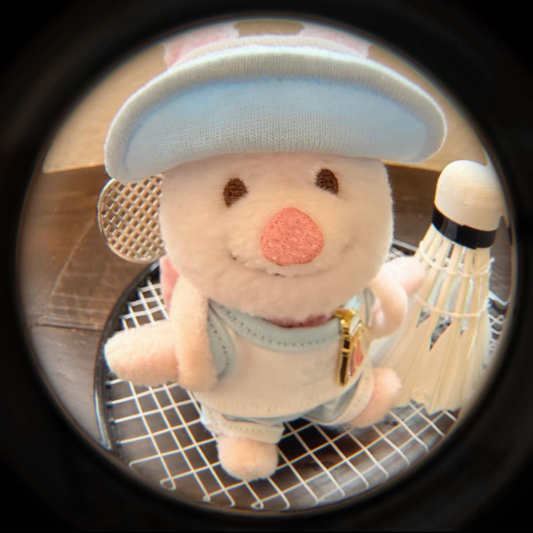 皮杰舅舅