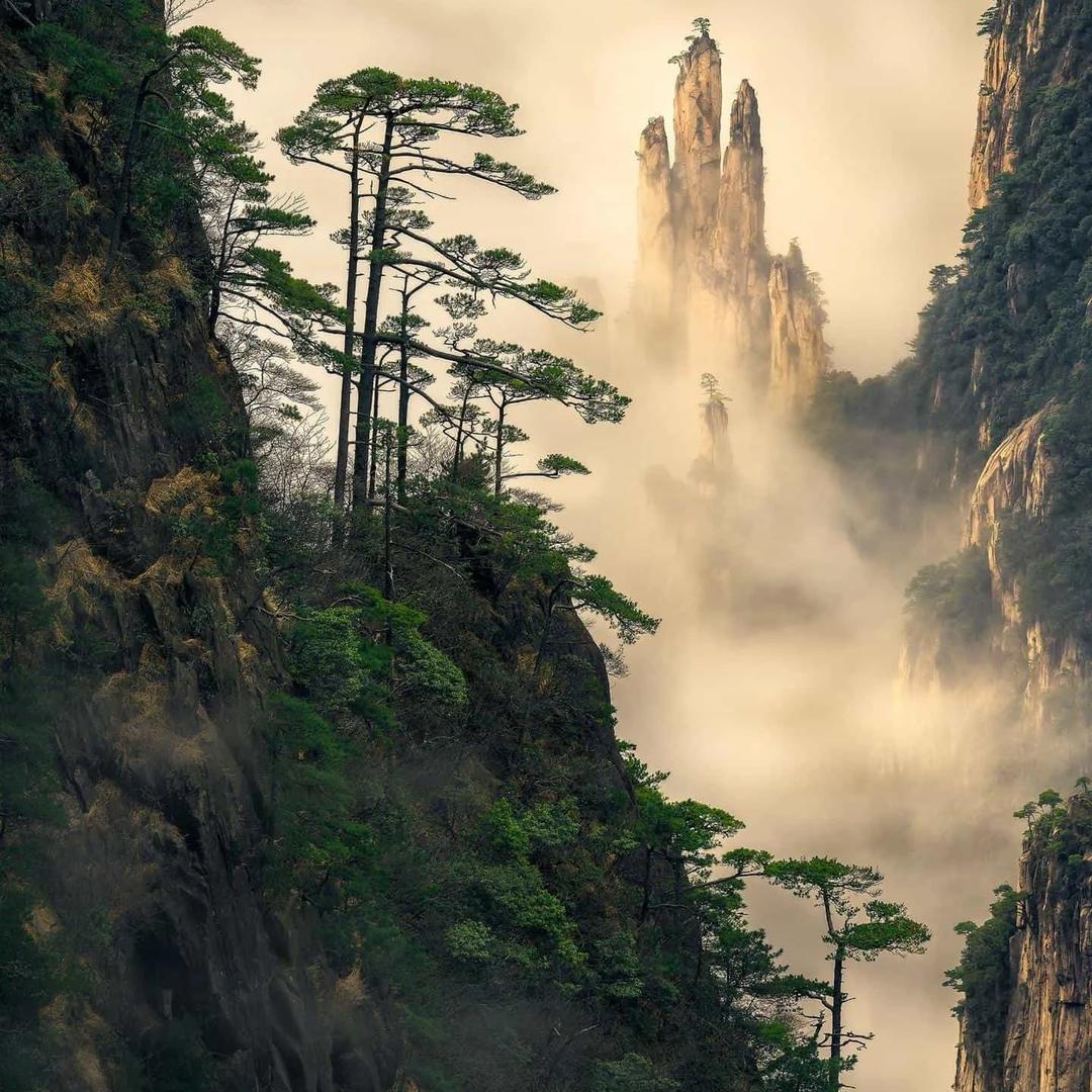 广州市石永实业有限公司-小张宠粉号