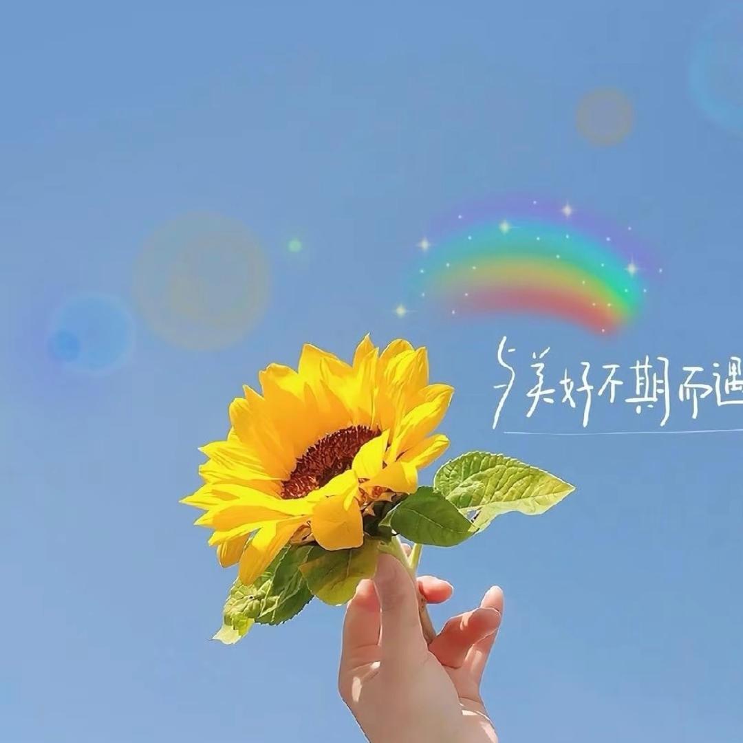 莓啤汽𖠚 ˎˊ-