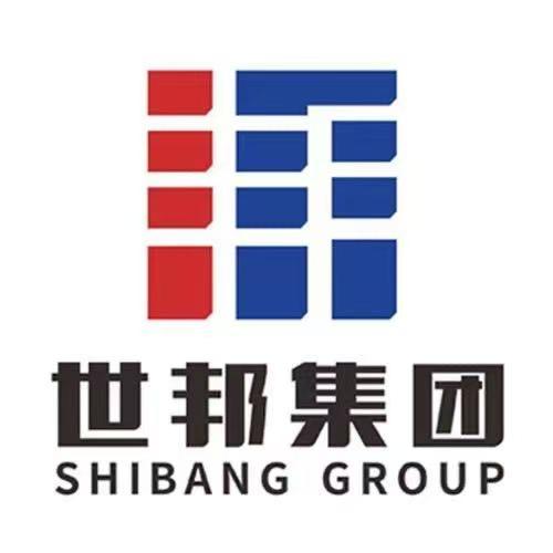 世邦集团-付振东