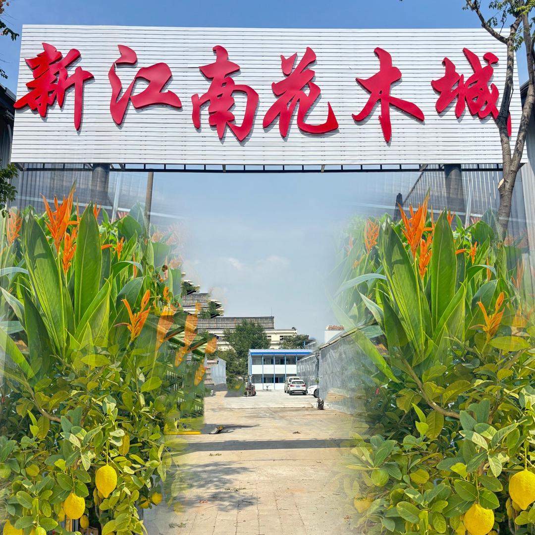 武汉新江南花木城和新江南二手家具城