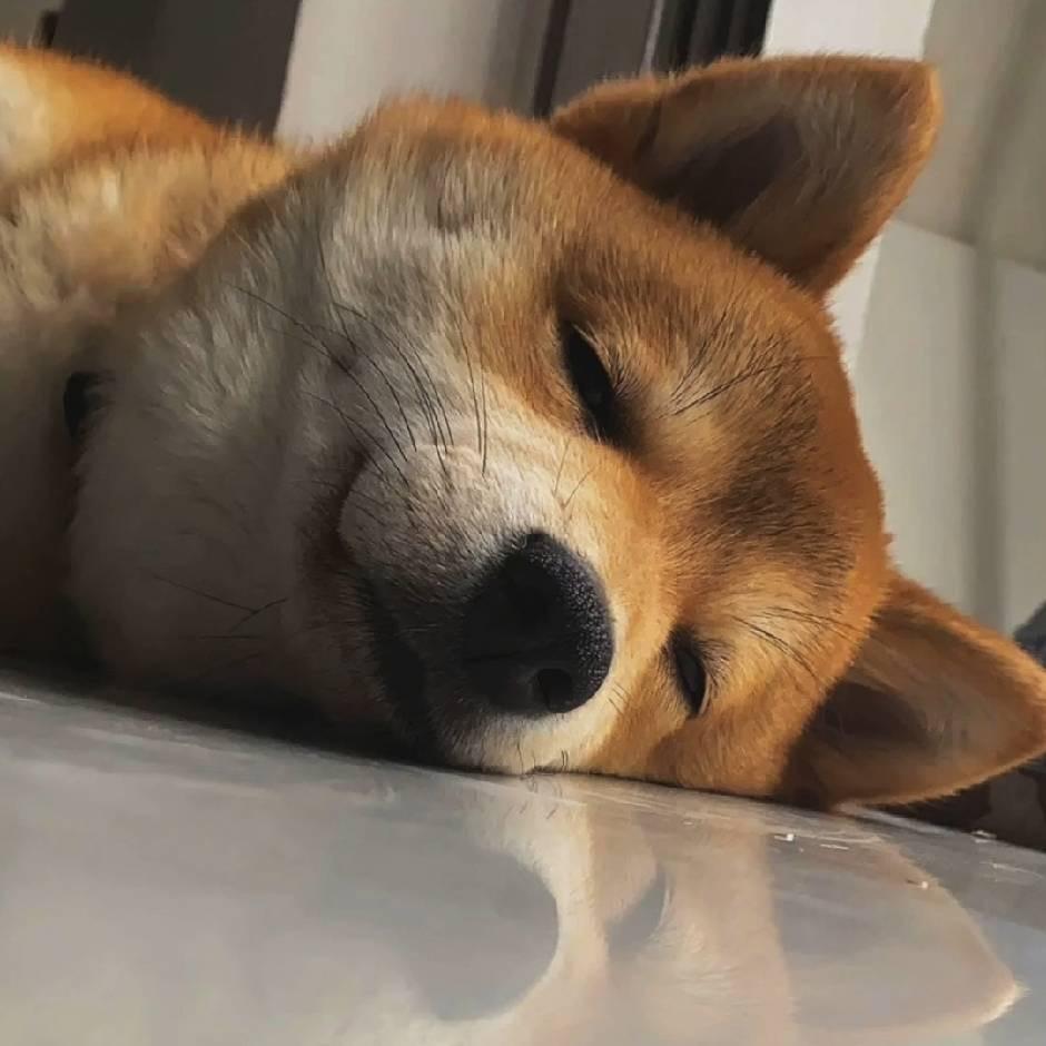 南渡.