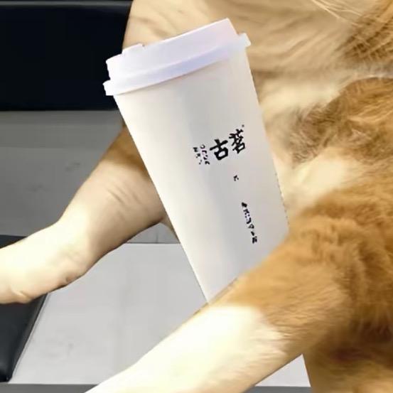 重生之我在奶茶摇钟楼