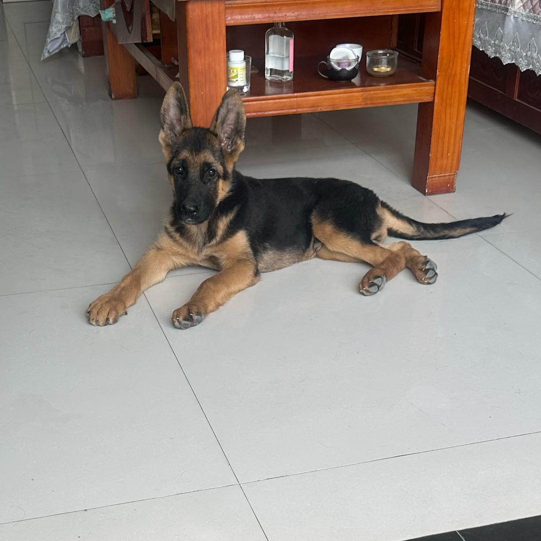 小时候可帅啦😘