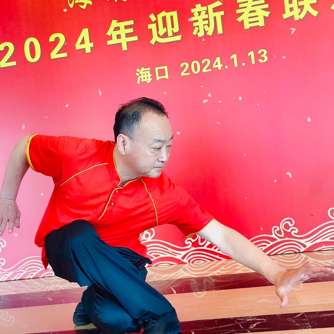 科星（太极)武术