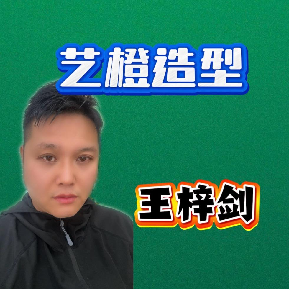 艺橙造型·王梓剑（龙祥苑）