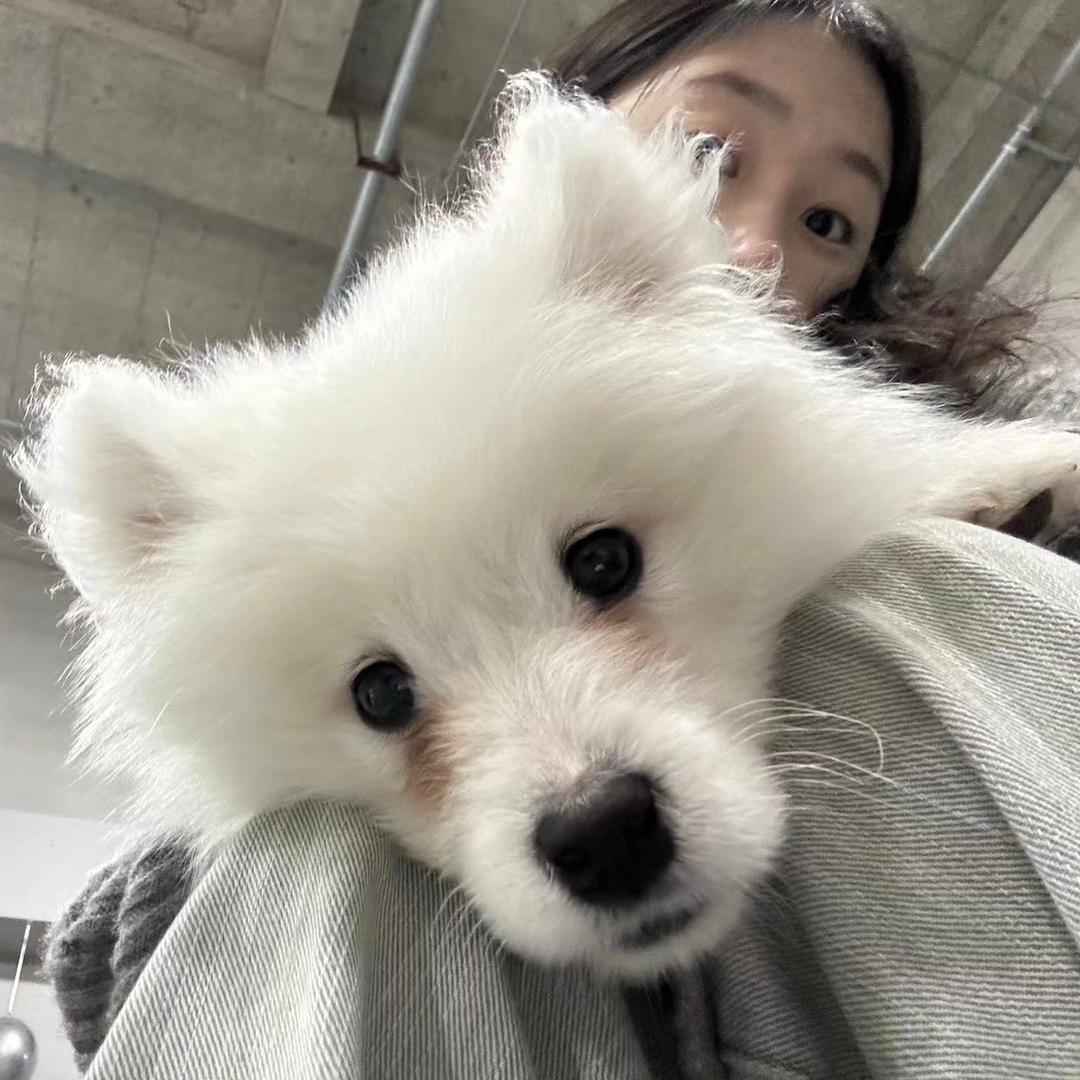 呦呦大王