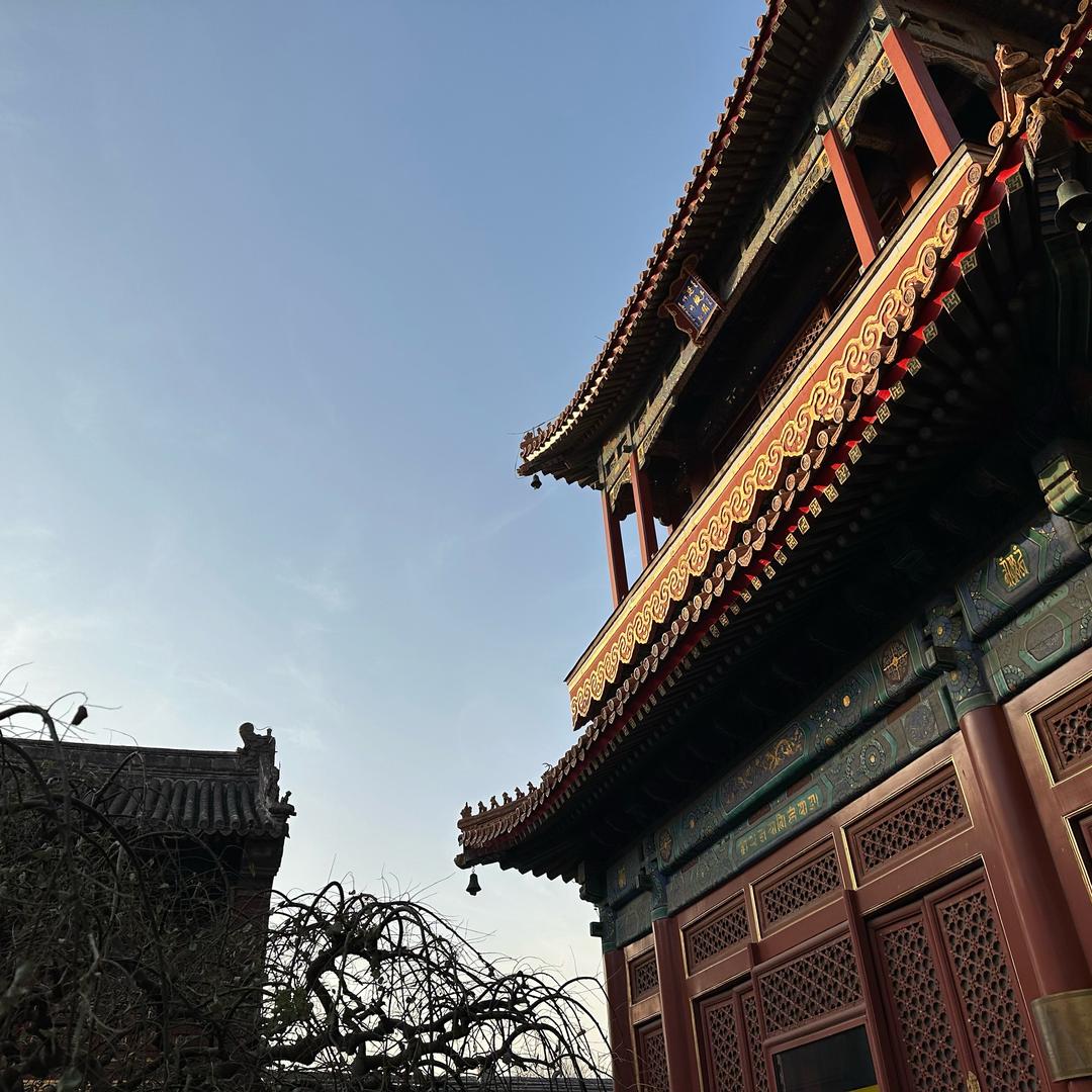 大鹏涨飞