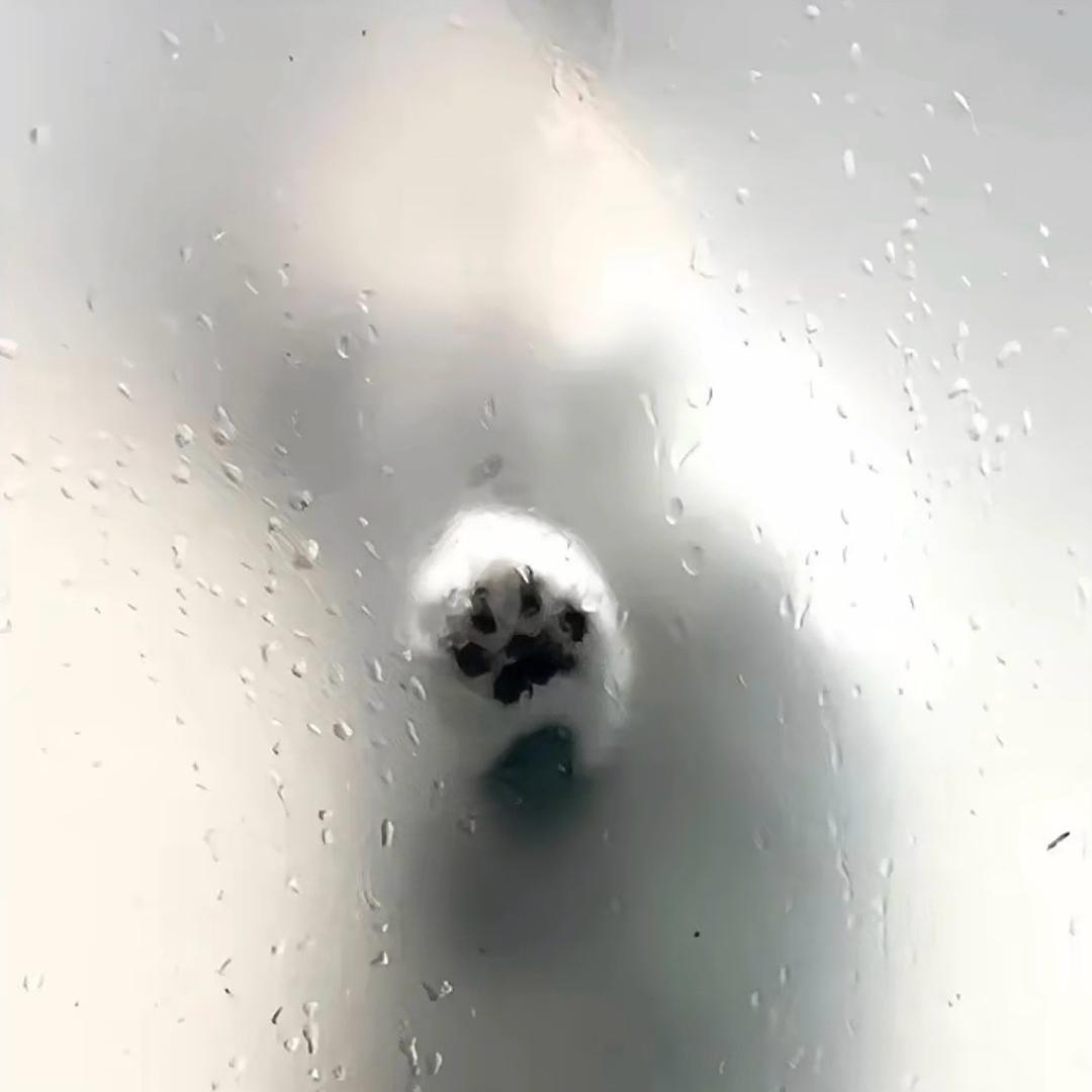 拨浪鼓💤
