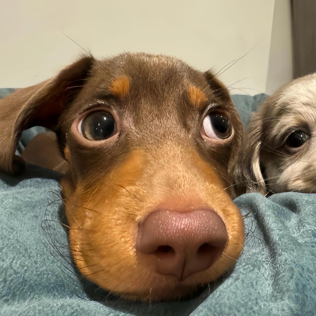 =