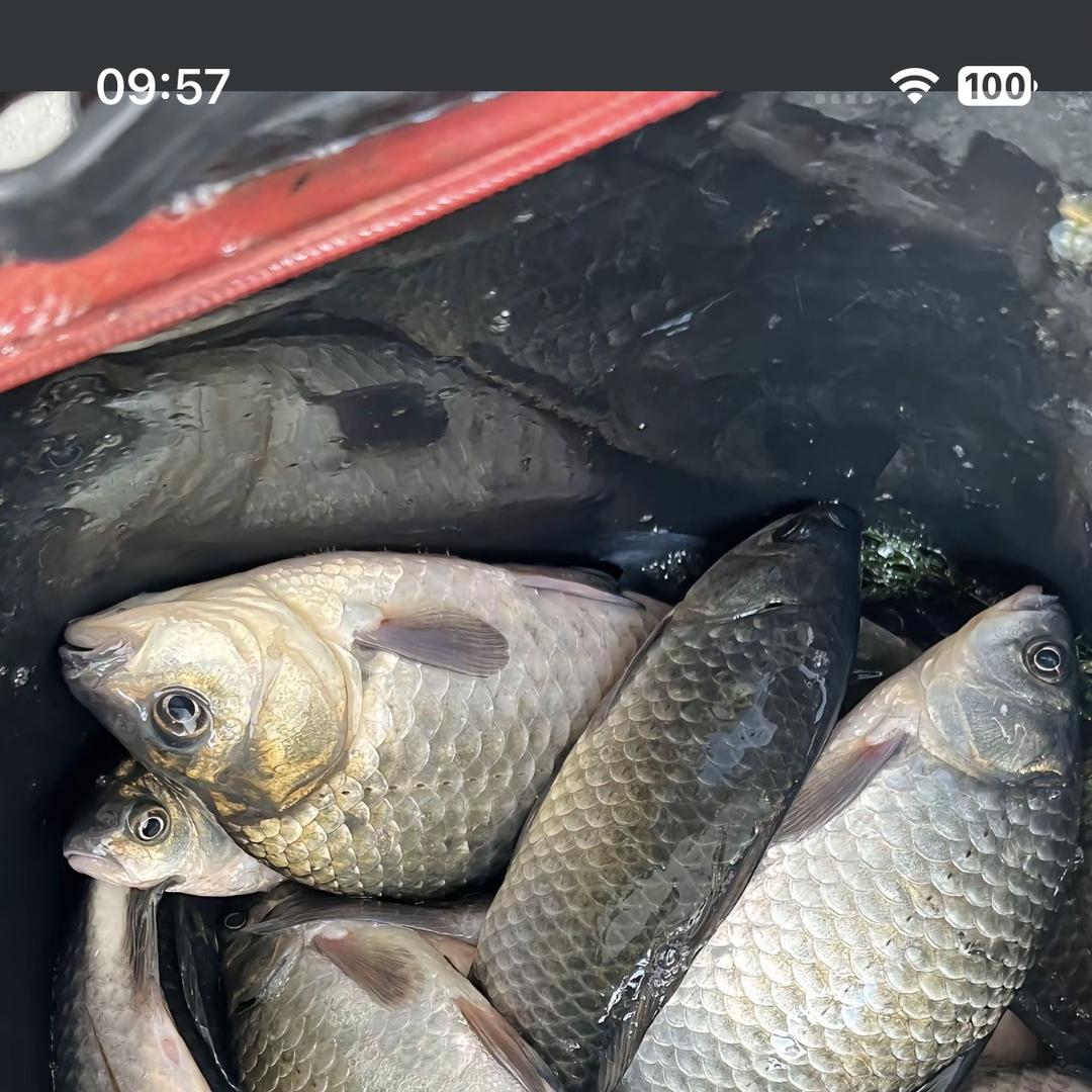 研祥丰鱼户外专卖店严选