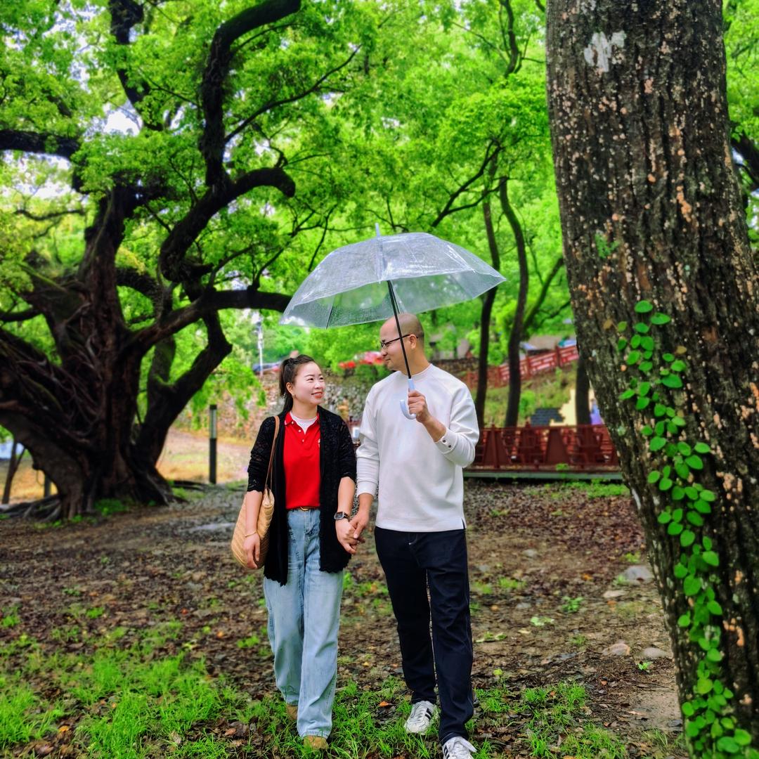 帮妈妈卖岳秀橙