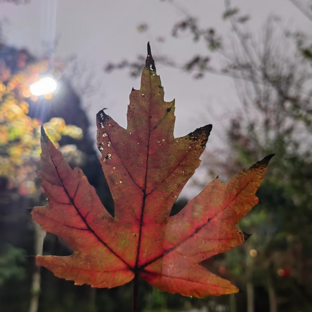 芳芳百货经营部