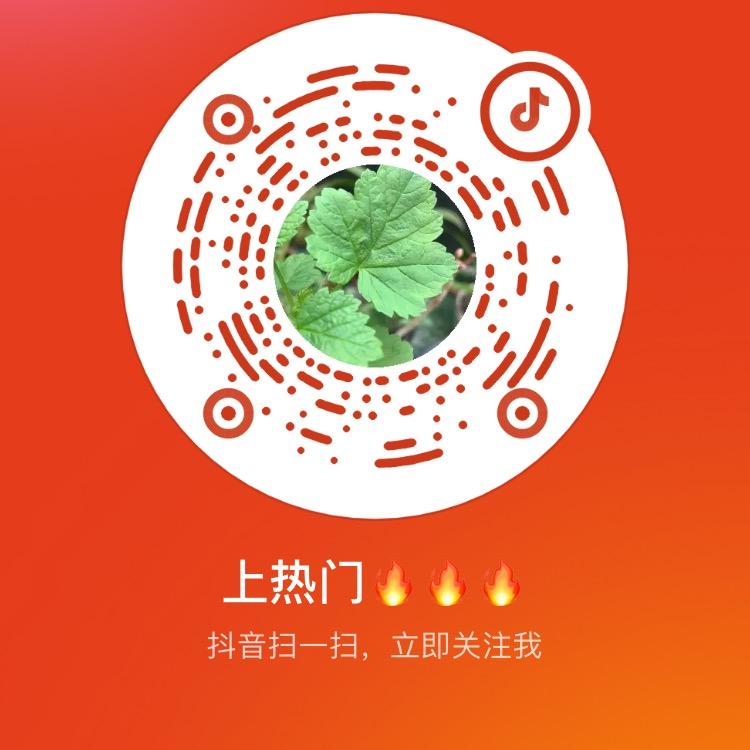 上热门🔥🔥🔥