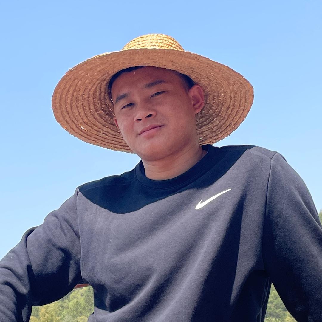 鑫鑫向用