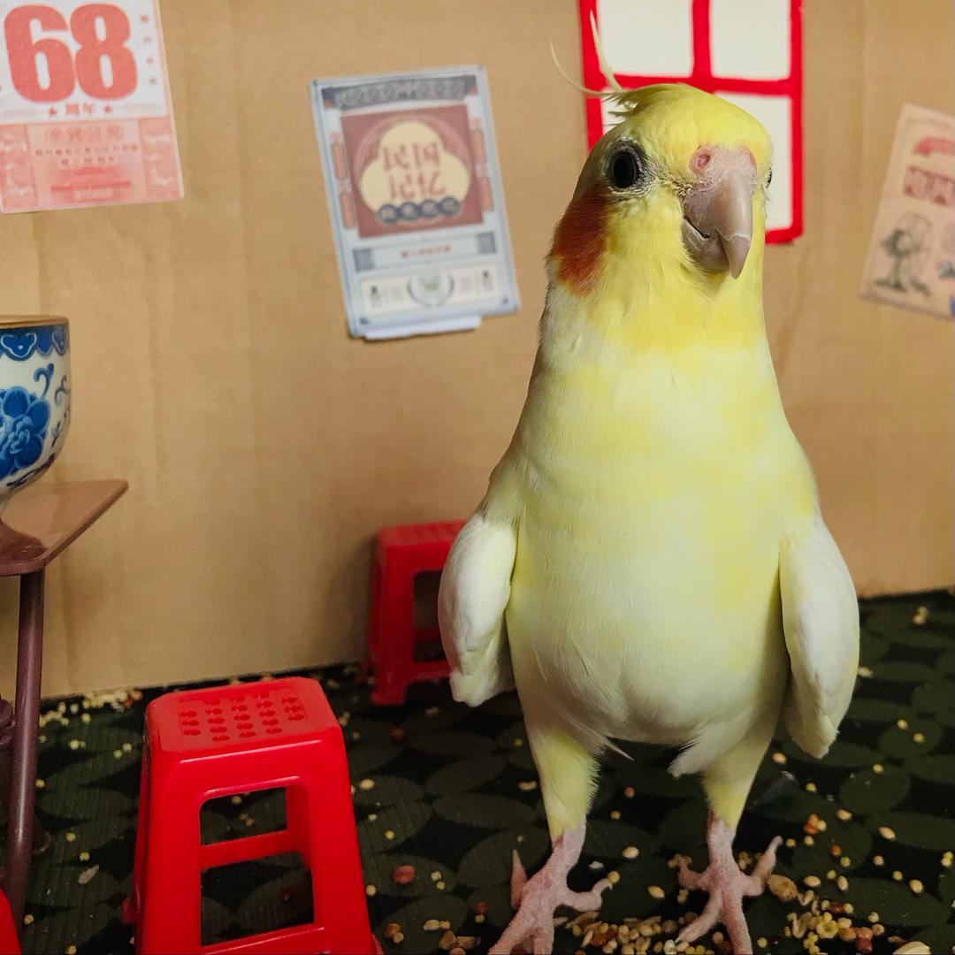 肆两茶咖官方号