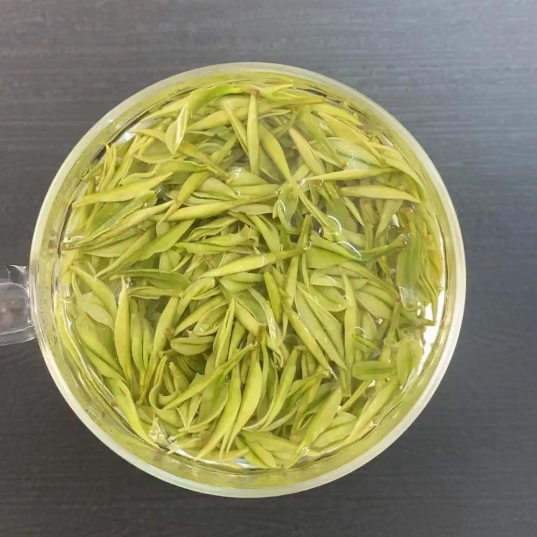 安吉惊蛰白茶场总店