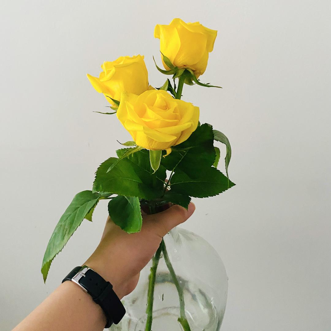 沃尔沃汽车文化