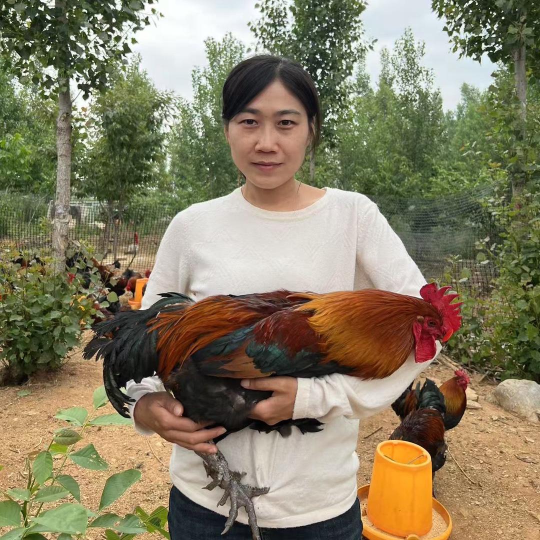 喜乐鸣