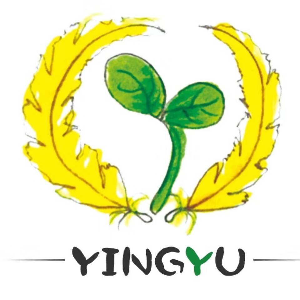 盈羽