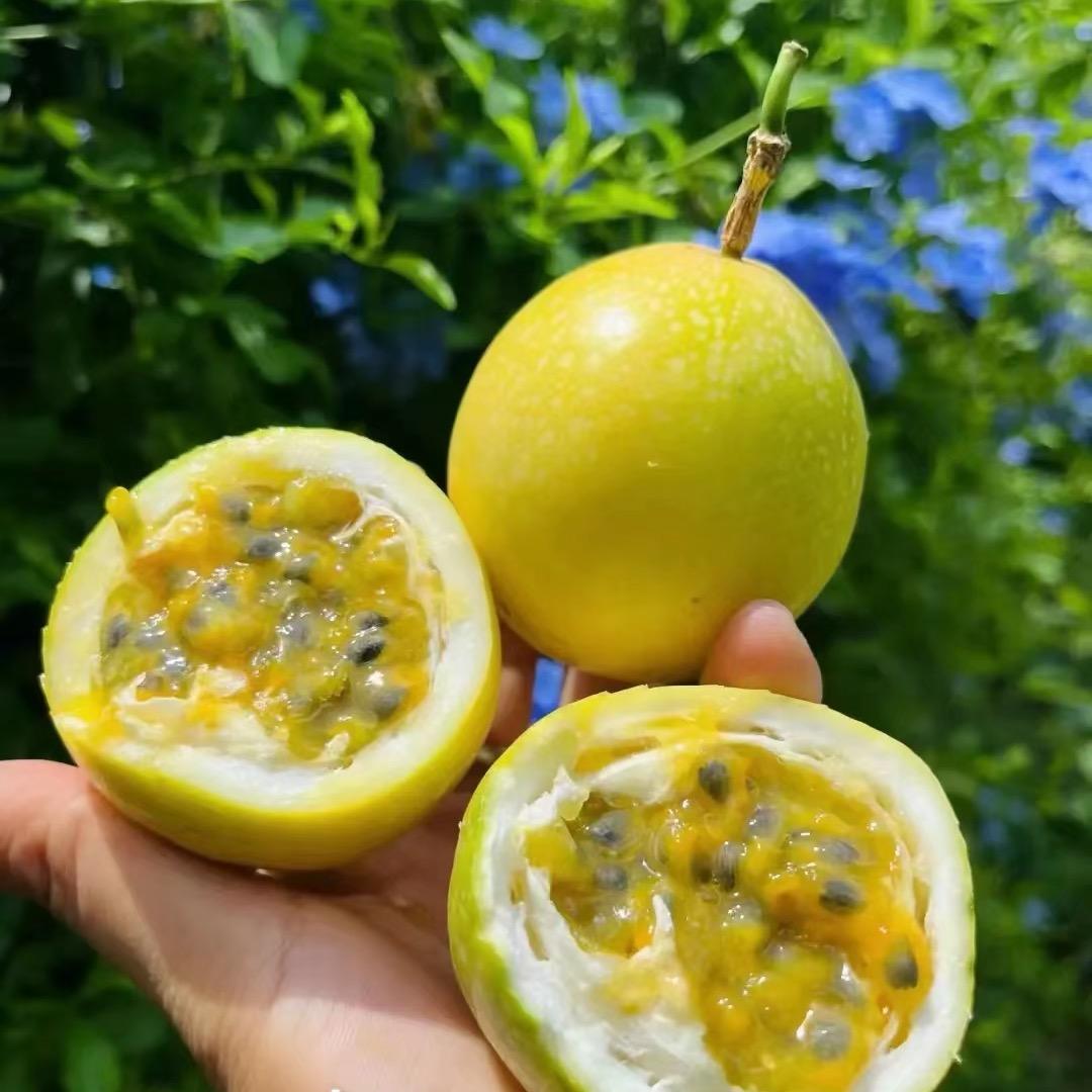 缤纷源头工厂