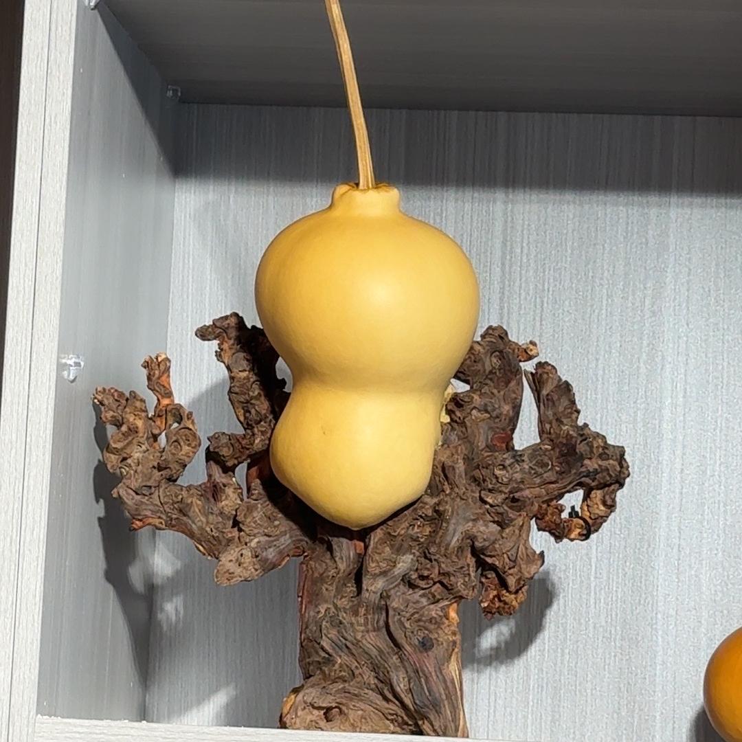胖哥葫芦文玩