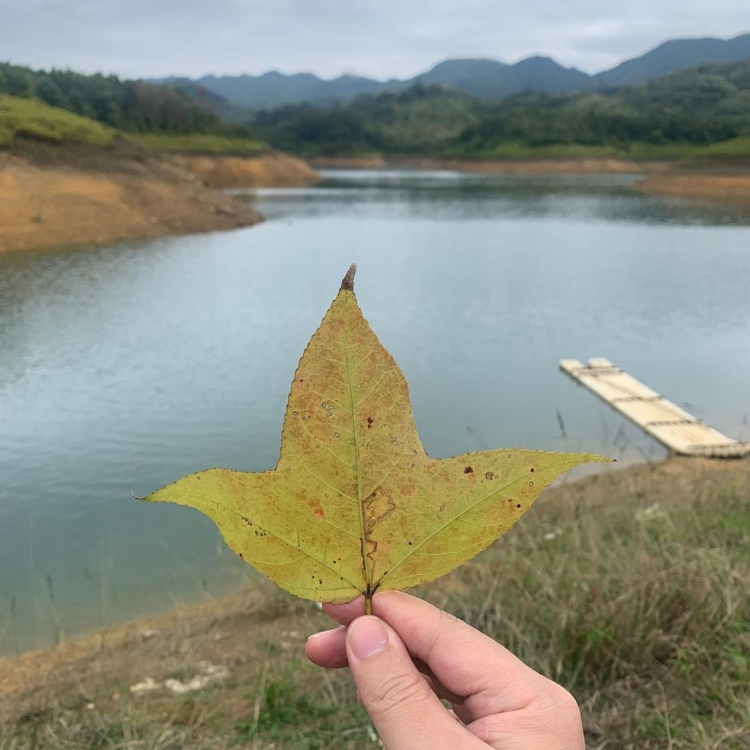 请先说.你好