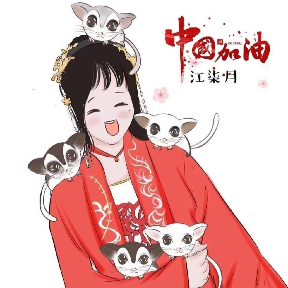 江柒月的宠物用品店