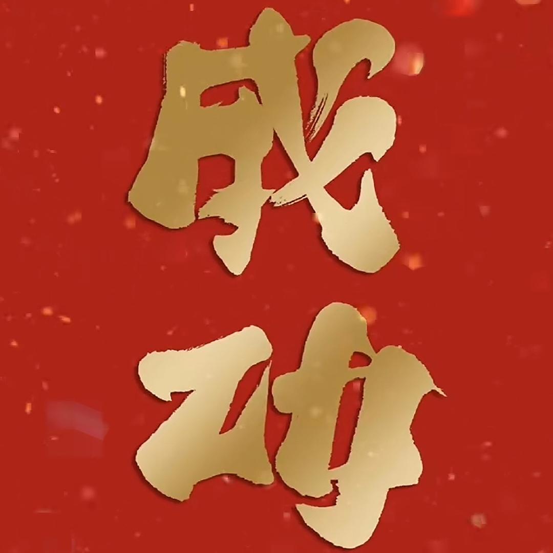 阜阳市成功二手车有限公司