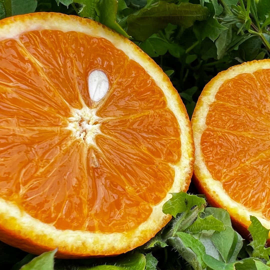 重庆钰钲农品坊