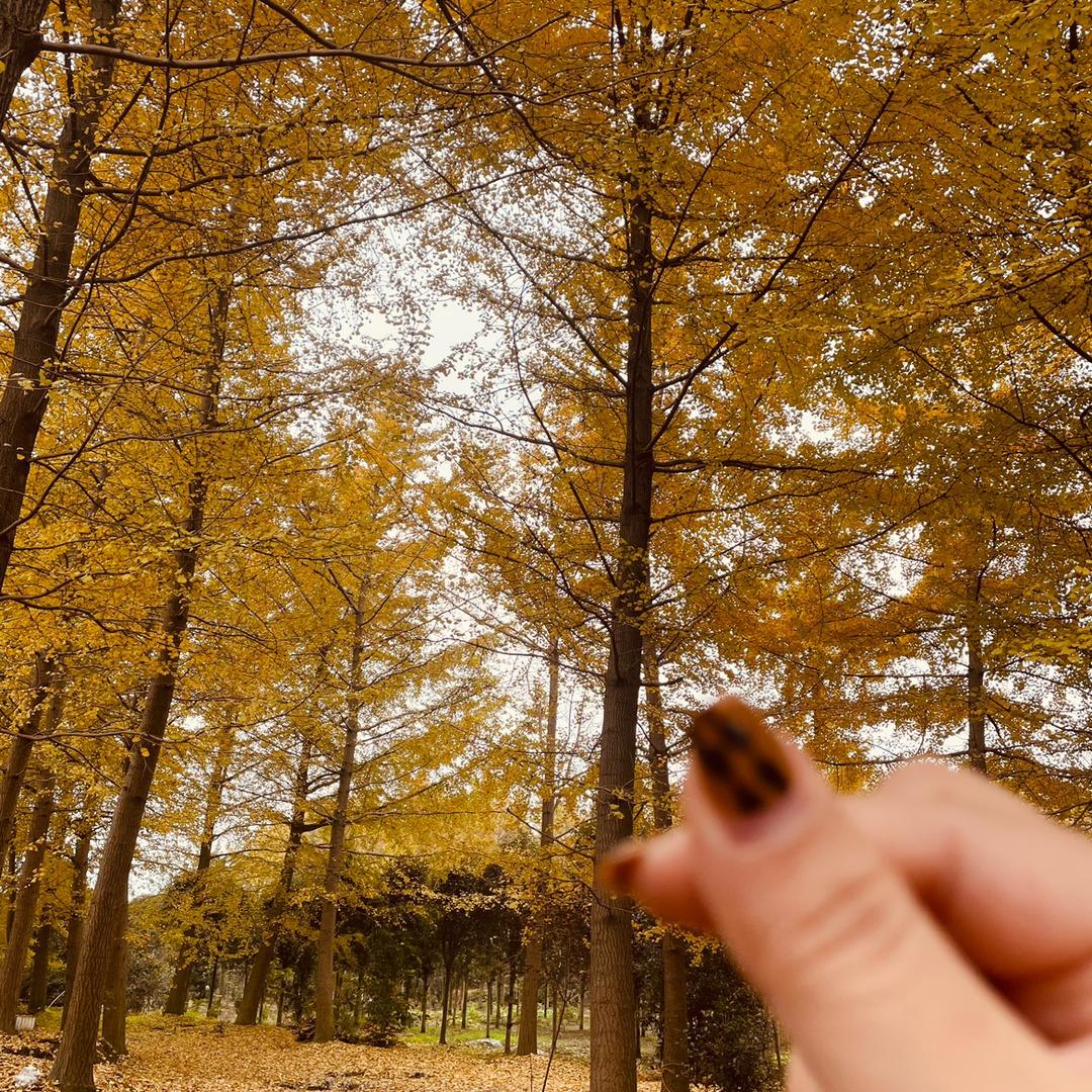 OPI维纳斯古萍