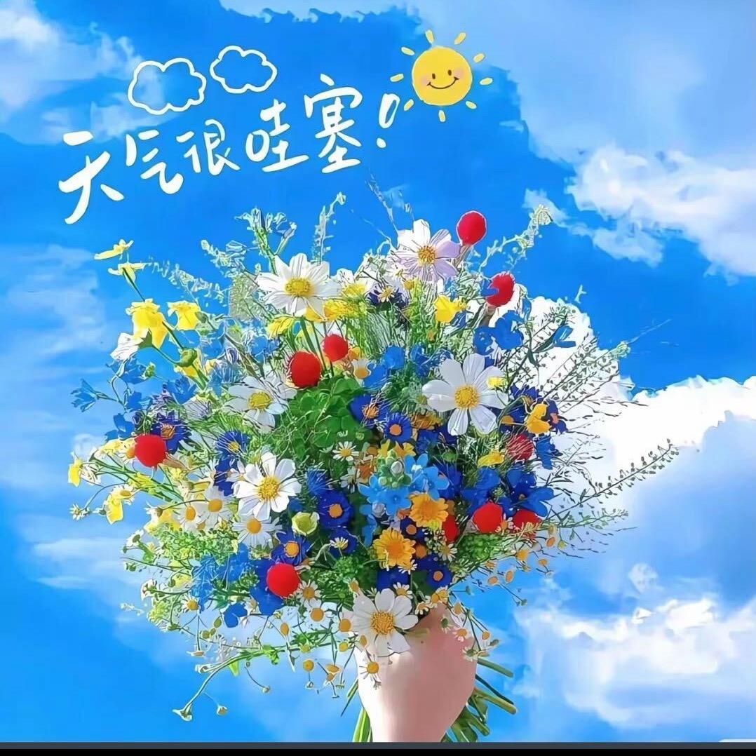 小鱼儿游啊游～
